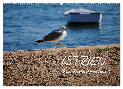 ISTRIEN - Die Perle Kroatiens (Wandkalender 2026 DIN A2 quer), CALVENDO Monatskalender