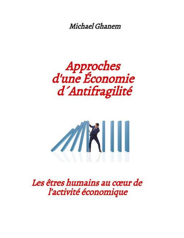 Approches d'une  Économie d´  antifragilité