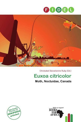 Euxoa citricolor