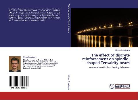 The effect of discrete reinforcement on spindle¿shaped Tensairity beam