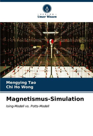 Magnetismus-Simulation