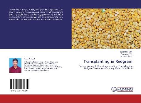 Transplanting in Redgram