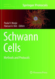 Schwann Cells