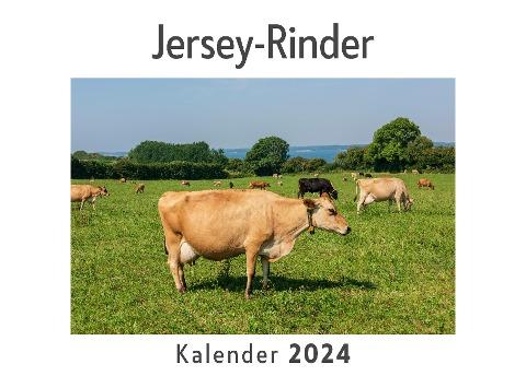 Jersey-Rinder (Wandkalender 2024, Kalender DIN A4 quer, Monatskalender im Querformat mit Kalendarium, Das perfekte Geschenk)