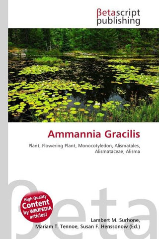 Ammannia Gracilis