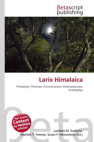 Larix Himalaica