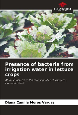 Presence of bacteria from irrigation water in lettuce crops