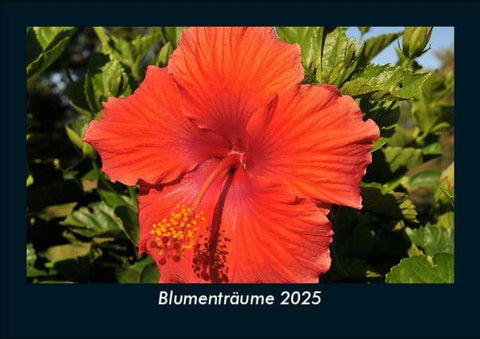 Blumenträume 2025 Fotokalender DIN A5