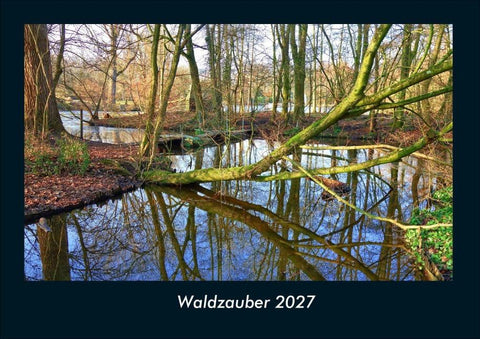 Waldzauber 2027 Fotokalender DIN A4