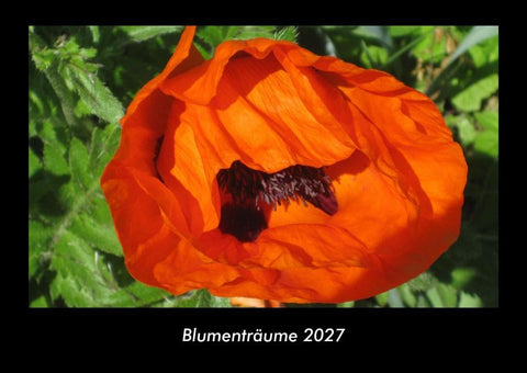 Blumenträume 2027 Fotokalender DIN A3