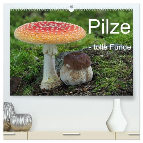 Pilze - tolle Funde (hochwertiger Premium Wandkalender 2026 DIN A2 quer), Kunstdruck in Hochglanz