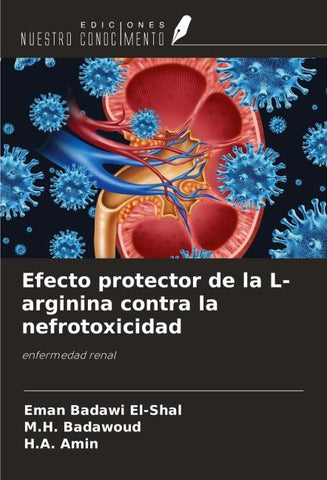 Efecto protector de la L-arginina contra la nefrotoxicidad