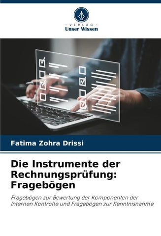 Die Instrumente der Rechnungsprüfung: Fragebögen
