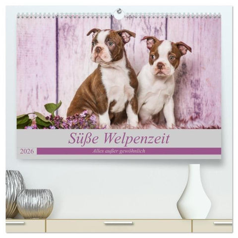 Süße Welpenzeit - Alles außer gewöhnlich (hochwertiger Premium Wandkalender 2026 DIN A2 quer), Kunstdruck in Hochglanz