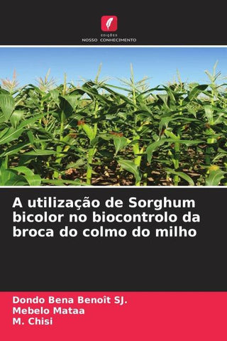 A utilização de Sorghum bicolor no biocontrolo da broca do colmo do milho