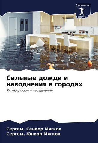 Sil'nye dozhdi i nawodneniq w gorodah