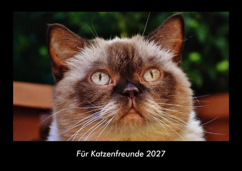 Für Katzenfreunde 2027 Fotokalender DIN A3