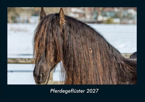 Pferdegeflüster 2027 Fotokalender DIN A4