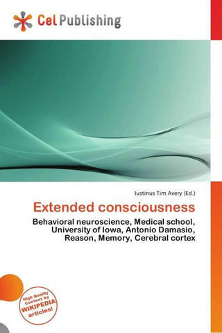 Extended consciousness