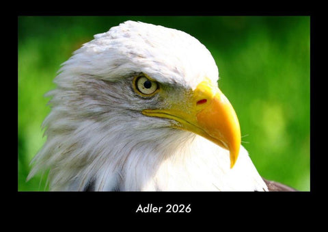 Adler 2026 Fotokalender DIN A3