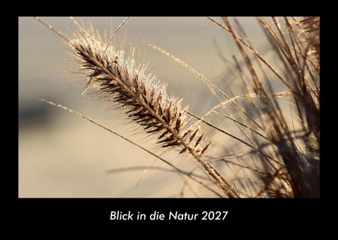 Blick in die Natur 2027 Fotokalender DIN A3