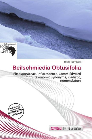 Beilschmiedia Obtusifolia