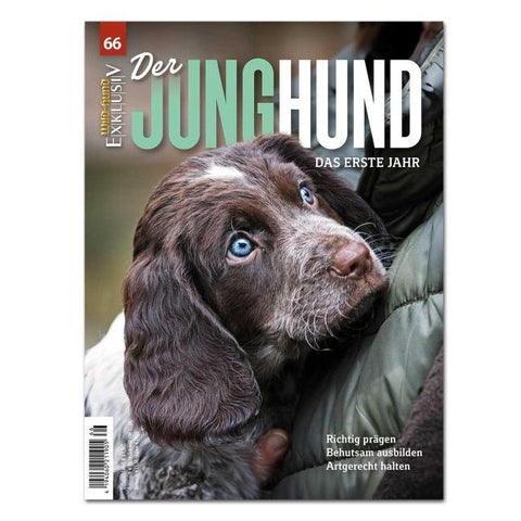 WILD UND HUND EXKLUSIV NR. 66: DER JUNGHUND - DAS ERSTE JAHR