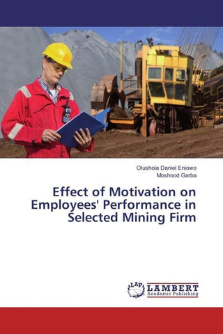 Effect of Motivation on Employees' Performance in Selected Mining Firm