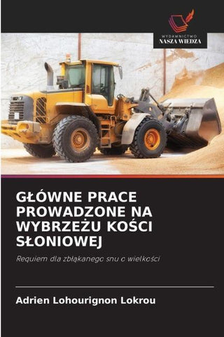 G¿ÓWNE PRACE PROWADZONE NA WYBRZE¿U KO¿CI S¿ONIOWEJ