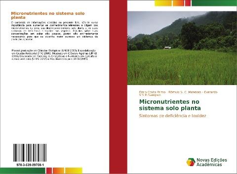 Micronutrientes no sistema solo planta