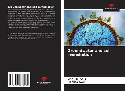 Groundwater and soil remediation
