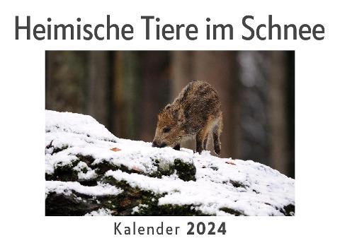 Heimische Tiere im Schnee (Wandkalender 2024, Kalender DIN A4 quer, Monatskalender im Querformat mit Kalendarium, Das perfekte Geschenk)