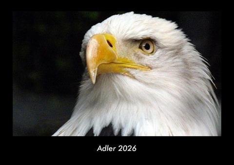 Adler 2026 Fotokalender DIN A3