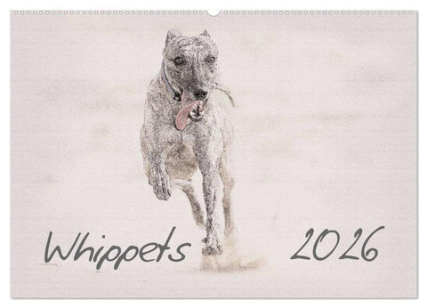 Whippet 2026 (Wandkalender 2026 DIN A2 quer), CALVENDO Monatskalender