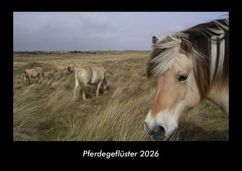 Pferdegeflüster 2026 Fotokalender DIN A3