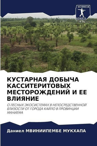 KUSTARNAYa DOBYChA KASSITERITOVYH MESTOROZhDENIJ I EE VLIYaNIE