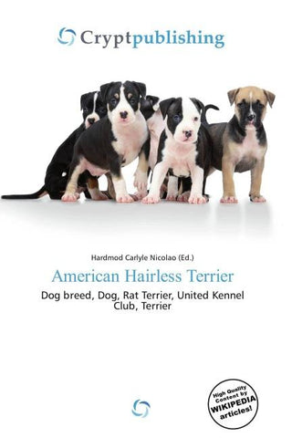 American Hairless Terrier
