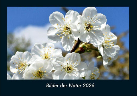 Bilder der Natur 2026 Fotokalender DIN A4