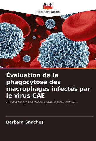 Évaluation de la phagocytose des macrophages infectés par le virus CAE