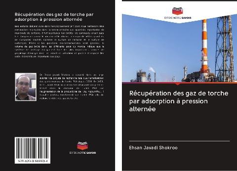 Récupération des gaz de torche par adsorption à pression alternée