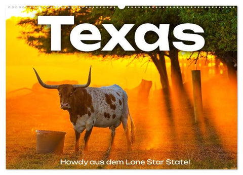 Texas - Howdy aus dem Lone Star State! (Wandkalender 2026 DIN A2 quer), CALVENDO Monatskalender