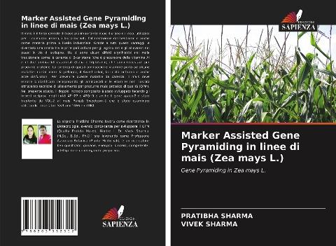 Marker Assisted Gene Pyramiding in linee di mais (Zea mays L.)