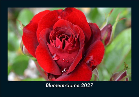 Blumenträume 2027 Fotokalender DIN A5