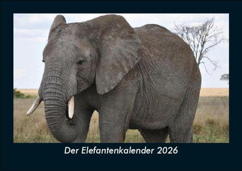 Der Elefantenkalender 2026 Fotokalender DIN A5