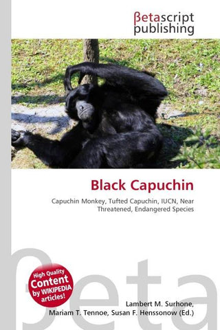 Black Capuchin