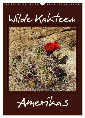 Wilde Kakteen Amerikas (Wandkalender 2026 DIN A3 hoch), CALVENDO Monatskalender