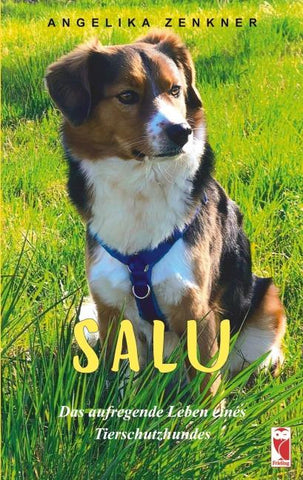 Salu