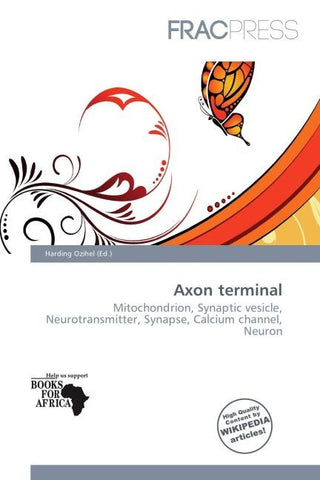 Axon terminal