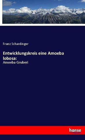 Entwicklungskreis eine Amoeba lobosa: