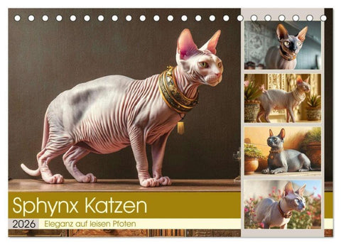 Sphinx Katzen. Eleganz auf leisen Pfoten (Tischkalender 2026 DIN A5 quer), CALVENDO Monatskalender